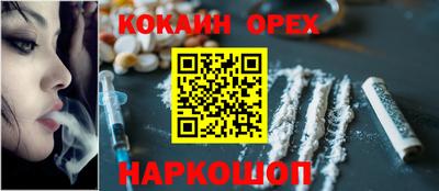 гашик Боровичи