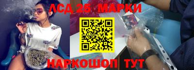 гашик Боровичи