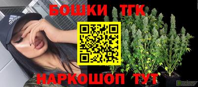 молекула духа Брянск