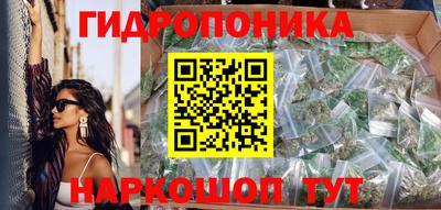 гашик Боровичи