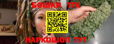 гашик Боровичи